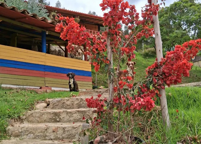 Glamping Colina Campestre Ecologica