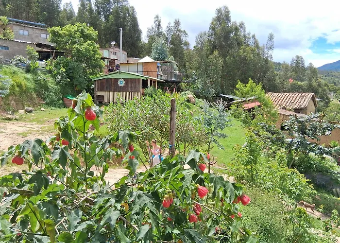 Glamping Colina Campestre Ecologica