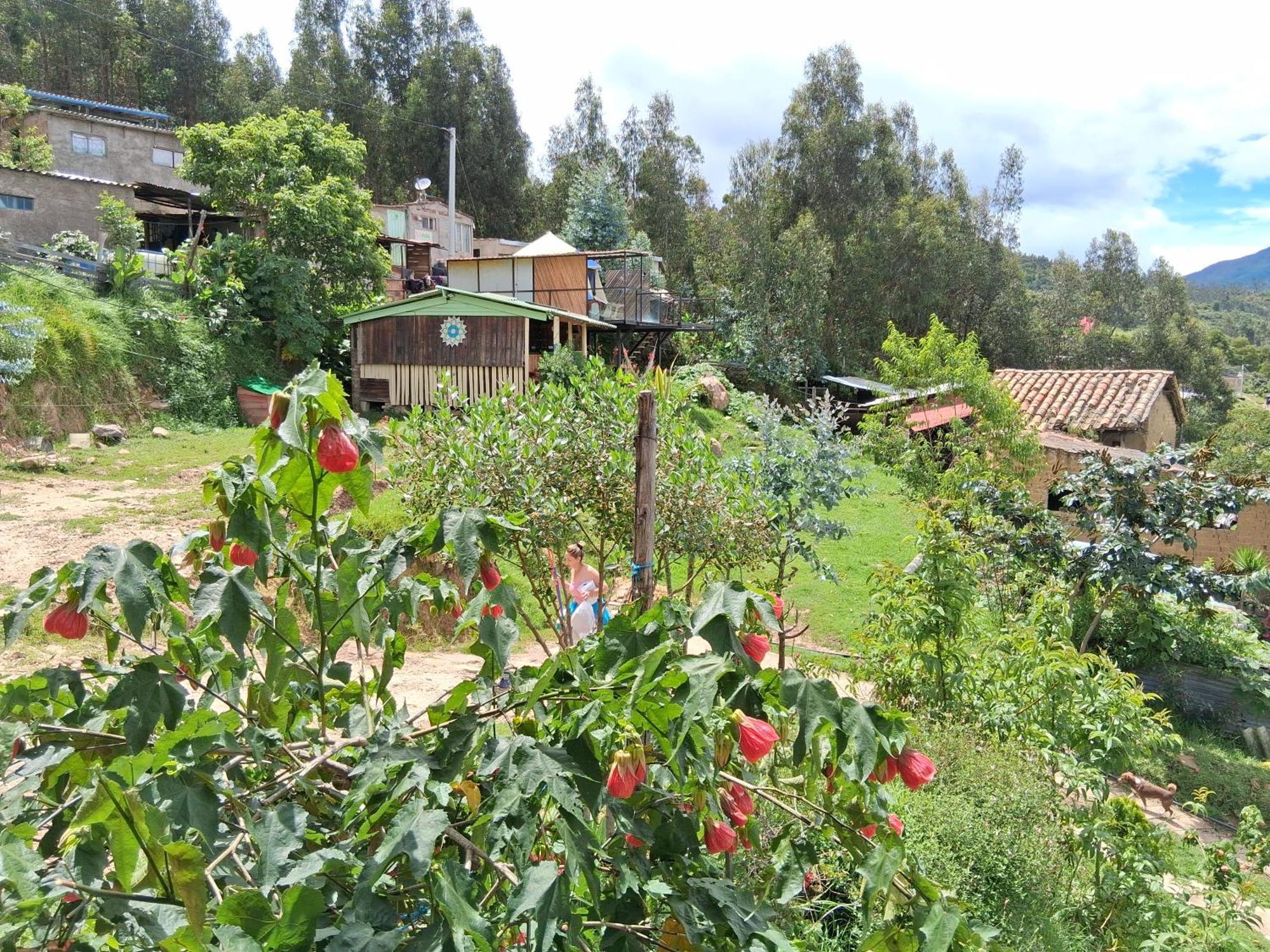 Glamping Colina Campestre Ecologica Ferienhaus *